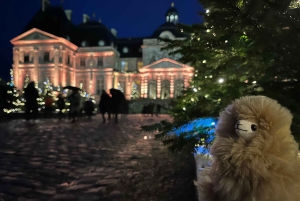 Paris: Vaux-le-Vicomte Vaux-le-Vicomte Privat guidad tur