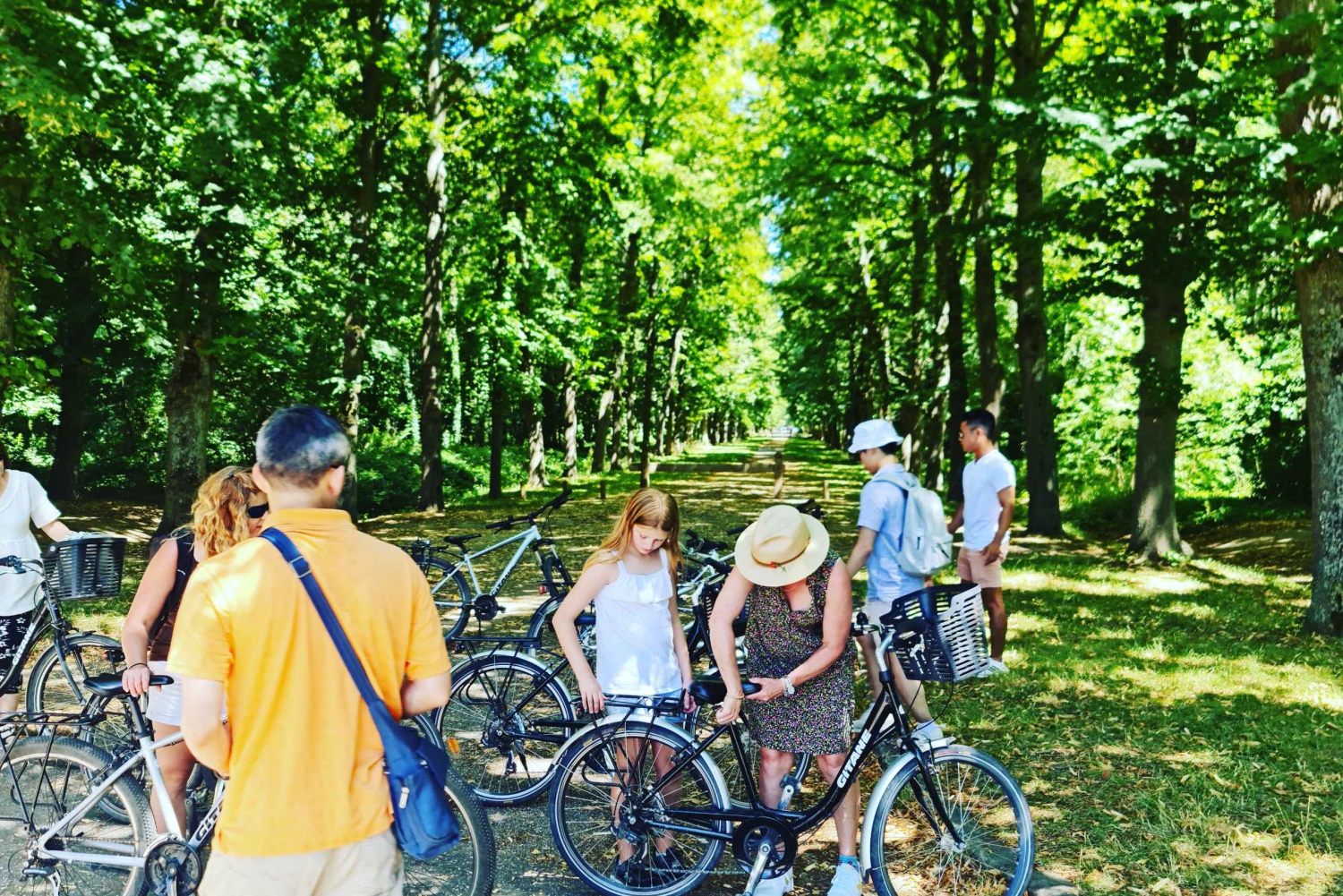 Versailles : visite guidée en voiturette de golf et à vélo, Hamlet + fontaines