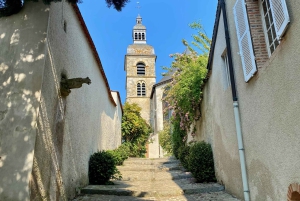 Privat VIP-tur i Champagne Ruinart, Moet Chandon med Mercedes