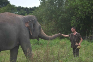 Von Bangkok aus: Tagestour zum Ethical Elephant Sanctuary in Pattaya