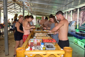 From Bangkok: Pattaya Ethical Elephant Sanctuary Day Trip