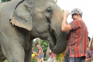 From Bangkok: Pattaya Ethical Elephant Sanctuary Day Trip