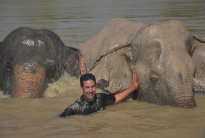 From Bangkok: Pattaya Ethical Elephant Sanctuary Day Trip