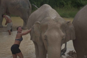 From Bangkok: Pattaya Ethical Elephant Sanctuary Day Trip