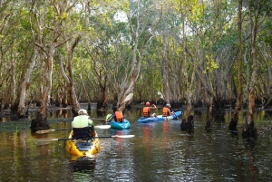 From Pattaya: Private Rayong Adventure Hike and Kayak Trip
