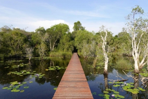 From Pattaya: Private Rayong Adventure Hike and Kayak Trip