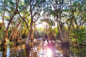 From Pattaya: Private Rayong Adventure Hike and Kayak Trip