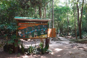 From Pattaya: Private Rayong Adventure Hike and Kayak Trip