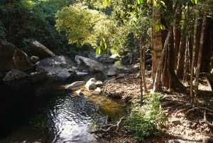 From Pattaya: Private Rayong Adventure Hike and Kayak Trip