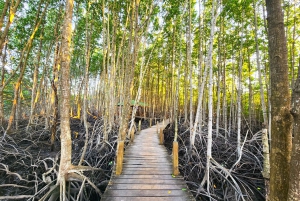 From Pattaya: Private Rayong Adventure Hike and Kayak Trip