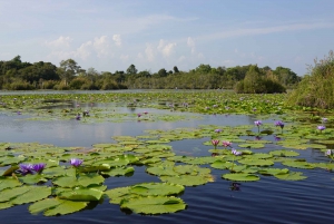 From Pattaya: Private Rayong Adventure Hike and Kayak Trip