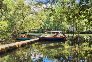 From Pattaya: Rayong Adventure Hike and Kayak Day Trip