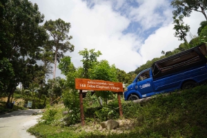 Patong Highlights: Elephant Sanctuary Tour with Transfer