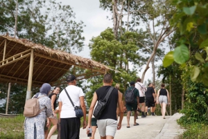 Patong Highlights: Elephant Sanctuary Tour with Transfer