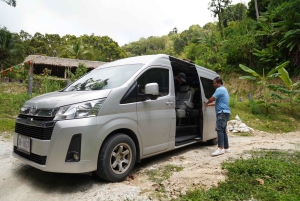 Patong Highlights: Elephant Sanctuary Tour with Transfer