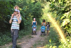 Pattaya: Elephant Sanctuary Tour with Thai Lunch