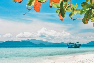 Pattaya: wycieczka 1-dniowa na Wyspę Koralową (Koh Larn) z lunchem z owoców morza