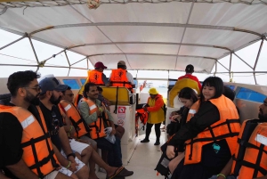 Pattaya's Coral Island Specialists Local Experts