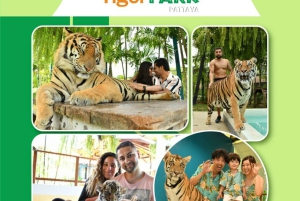 Pattaya Full Day Tour — City tour & Top Sights