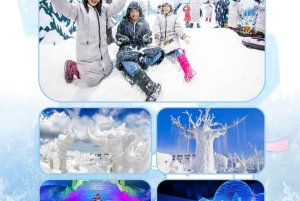 Pattaya Full Day Tour — City tour & Top Sights