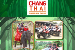 Pattaya Full Day Tour — City tour & Top Sights