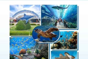 Pattaya Full Day Tour — City tour & Top Sights