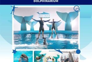 Pattaya Full Day Tour — City tour & Top Sights