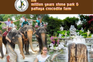 Pattaya Full Day Tour — City tour & Top Sights