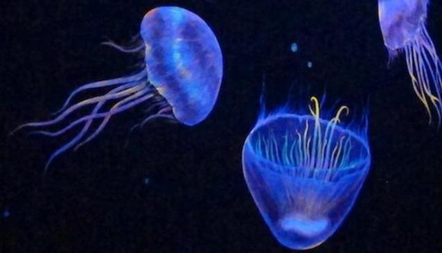 Underwater World Pattaya