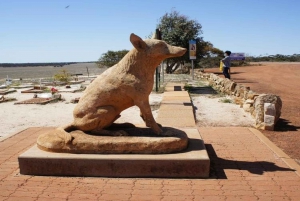 Z Perth: Wave Rock i York Cultural Tour z przewodnikiem