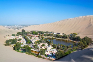 From Lima: Full-Day Paracas and Huacachina Bus Tour