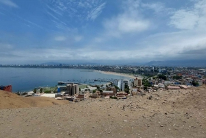Lima Fietstour: La Costa Verde & Jezusbeeld in Chorrillos