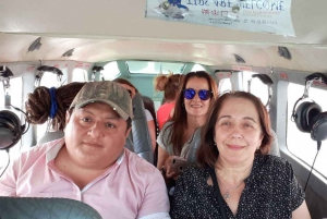 From Nazca: 35-Minute Flight Over Nazca Lines