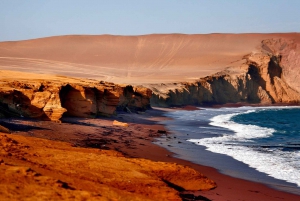 De Paracas: Ilhas Ballestas e Reserva Nacional de Paracas
