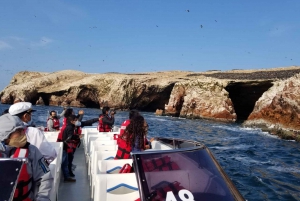 Paracas: Excursión en barco por las Islas Ballestas y el Candelabro