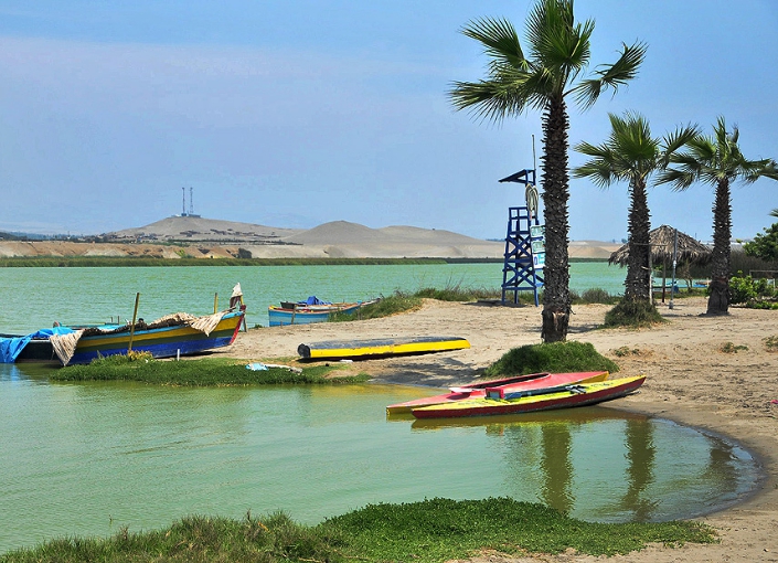 Kayak - Albufera de Medio Mundo