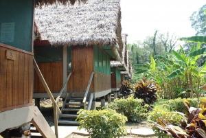 Tambopata Peruvian Amazon Jungle for Three Days/Two Nights