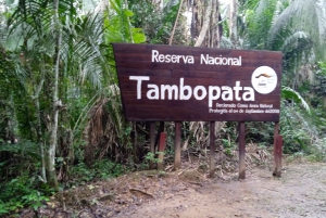 Tambopata Peruvian Amazon Jungle for Three Days/Two Nights