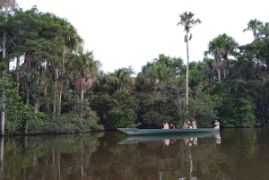 Tambopata Peruvian Amazon Jungle for Three Days/Two Nights