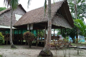 Tambopata Peruvian Amazon Jungle for Three Days/Two Nights