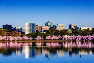 From New York City: Washington and Philadelphia 1-Day Tour