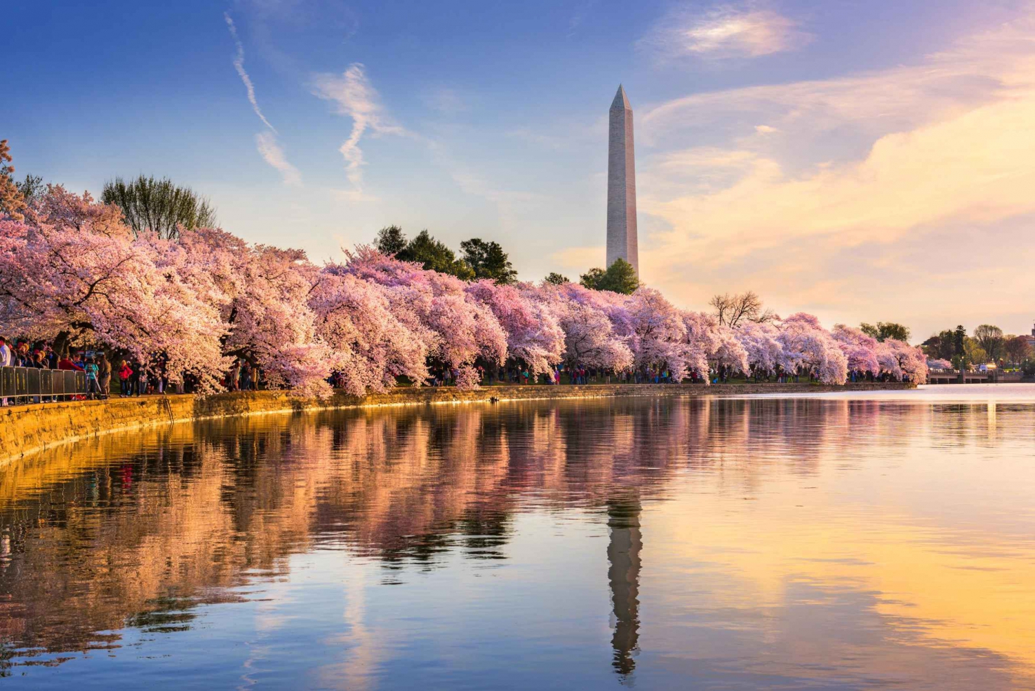 NYC: ナイアガラの滝、トロント、フィラデルフィア、ワシントン D.C. 5 日間ツアー