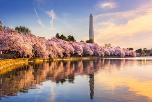 NYC: Niagara Falls, Toronto, Philadelphia & DC 5-dages tur