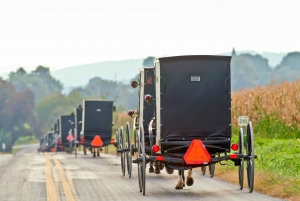 NYC: Niagara Falls, Toronto, Philadelphia, DC 5-Day Tour