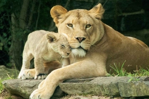 Philadelphia: Go City All-Inclusive Pass w/ 30+ Attractions