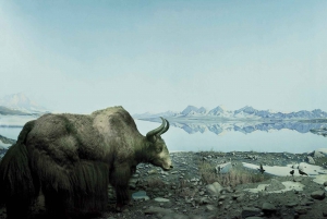 Philadelphia: Go City Explorer Pass with 3 to 7 Attractions