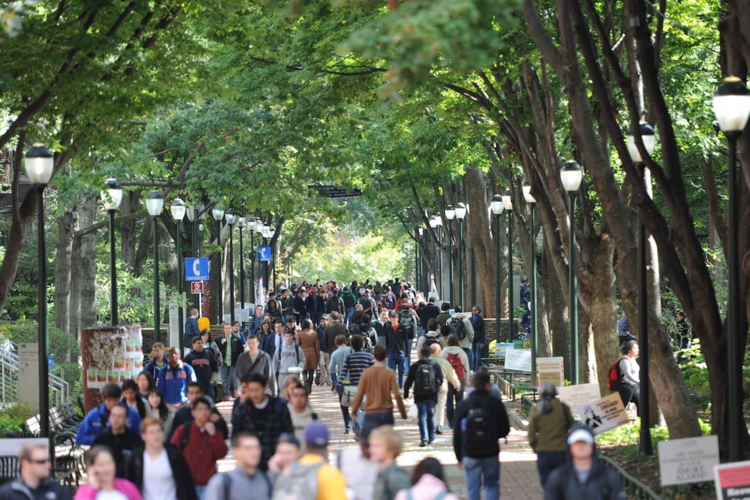 Филадельфия: пешеходная экскурсия по кампусу UPenn и билет в музей