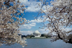 PRIVATE TOUR Washington DC: Private Tour with Luxury SUV
