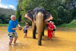 Khao Lak: Khao Sok privat elefantdagis och bamburafting