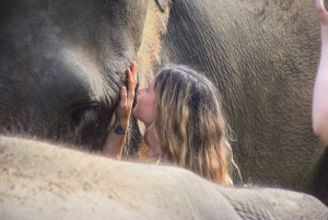 Phuket: Elephant Save & Care Program Tour